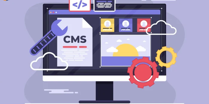 Website Development Burlington CMS services illustration