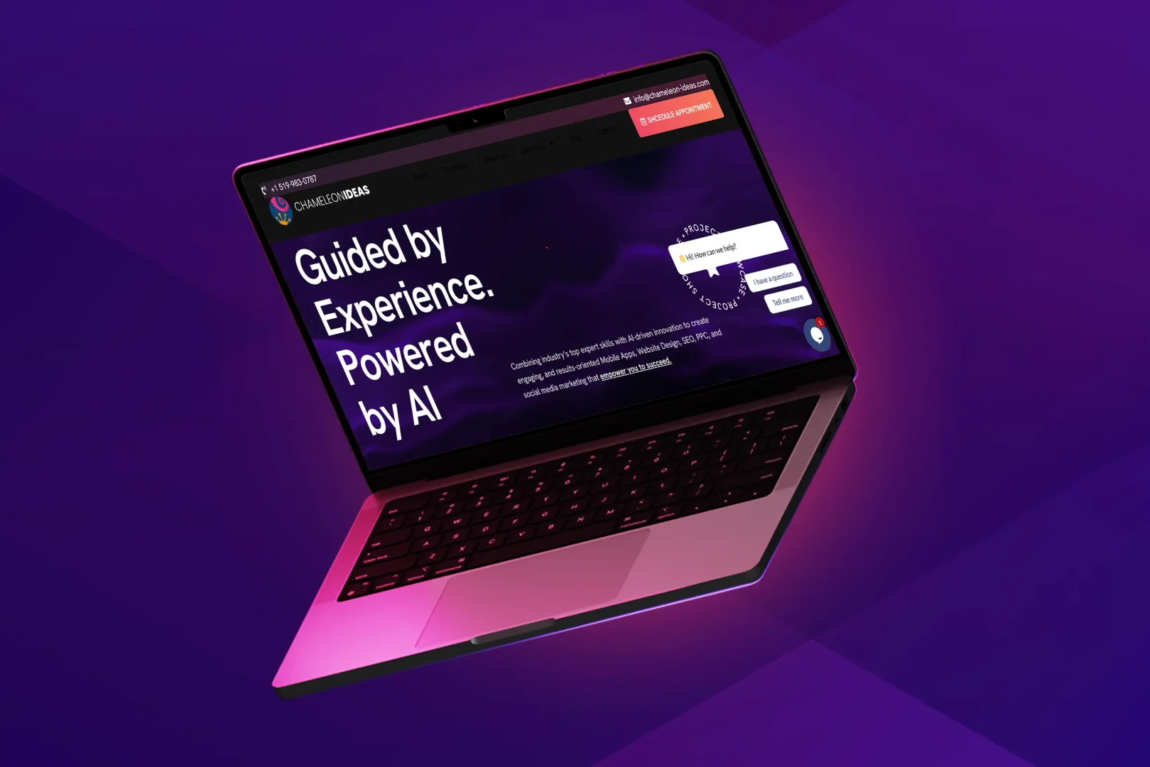 Website Design Services By Chameleon Ideas